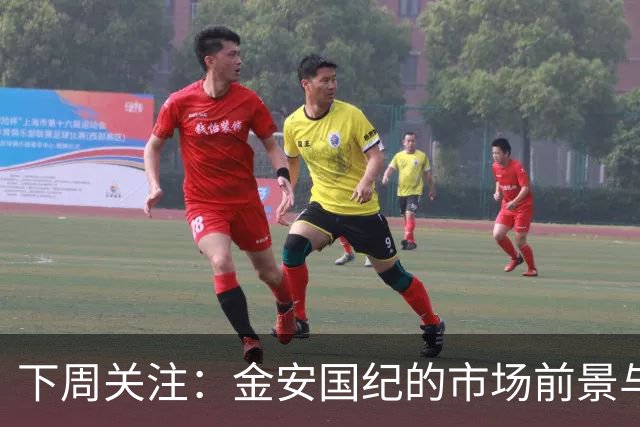 下周关注：金安国纪的市场前景与风险分析